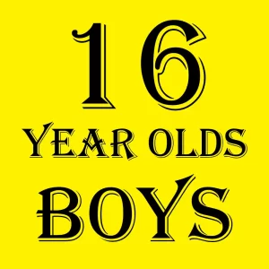 Toys For 16 Year Old Boy​ category page thumbnail - gametoyfriend