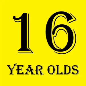 Toys For 16 Year Olds​​ category page thrumnail - Gametoyfriend