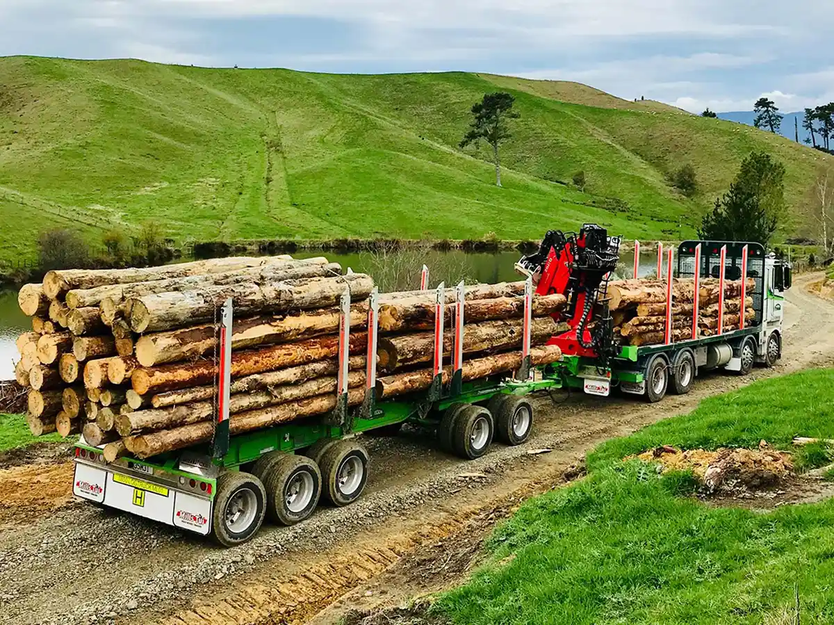 loaded log truck