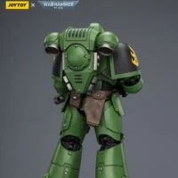 the back of the Action Figure - JOYTOY Salamanders Intercessor with Bolt Rifle, Bolt Pistol and Chainsword 1 18 - Warhammer 40K rectangle image