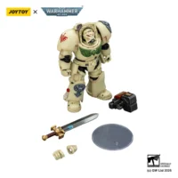 the parts of the Action Figure - Dark Angels Deathwing Terminator 1 with Power Sword and Storm Bolter 1 18 - JOYTOY Warhammer 40K in white background